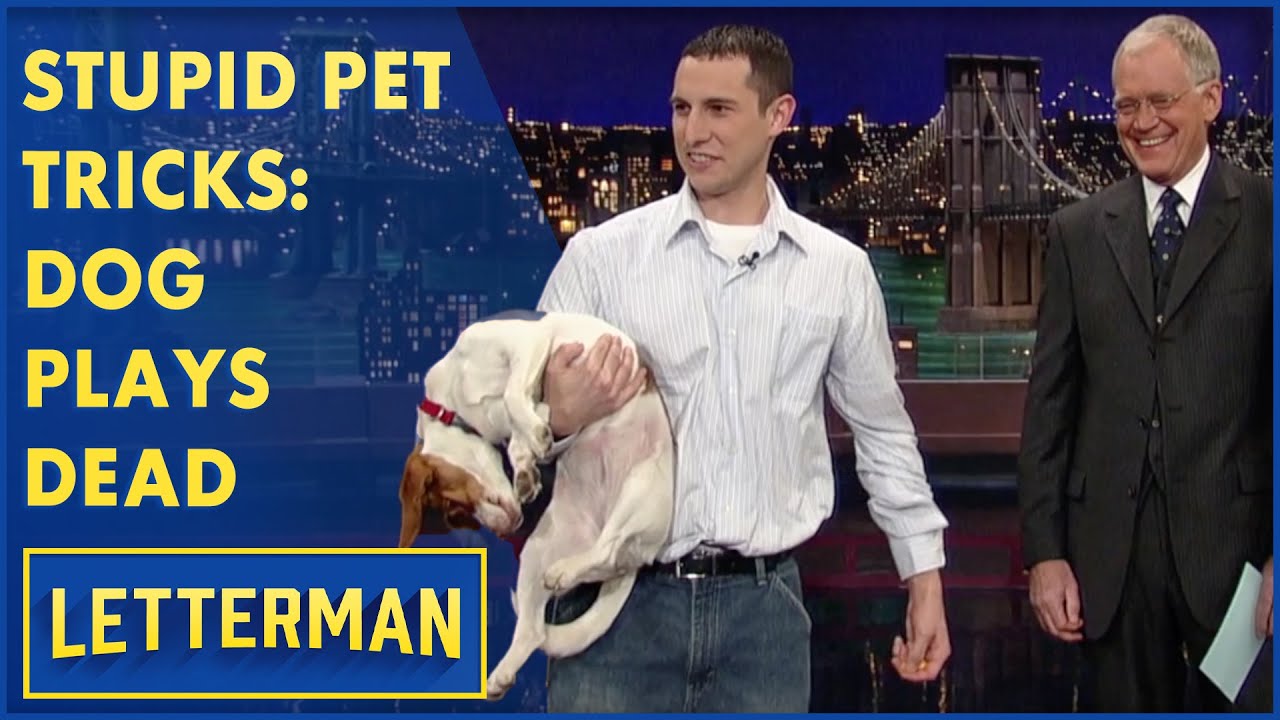 Stupid Pet Tricks: Dog Plays Dead – Letterman