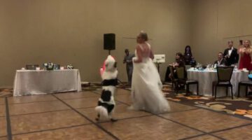 Bride dances with her Best Dog