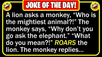 Funny Joke: Lion King