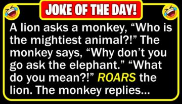 Funny Joke: Lion King