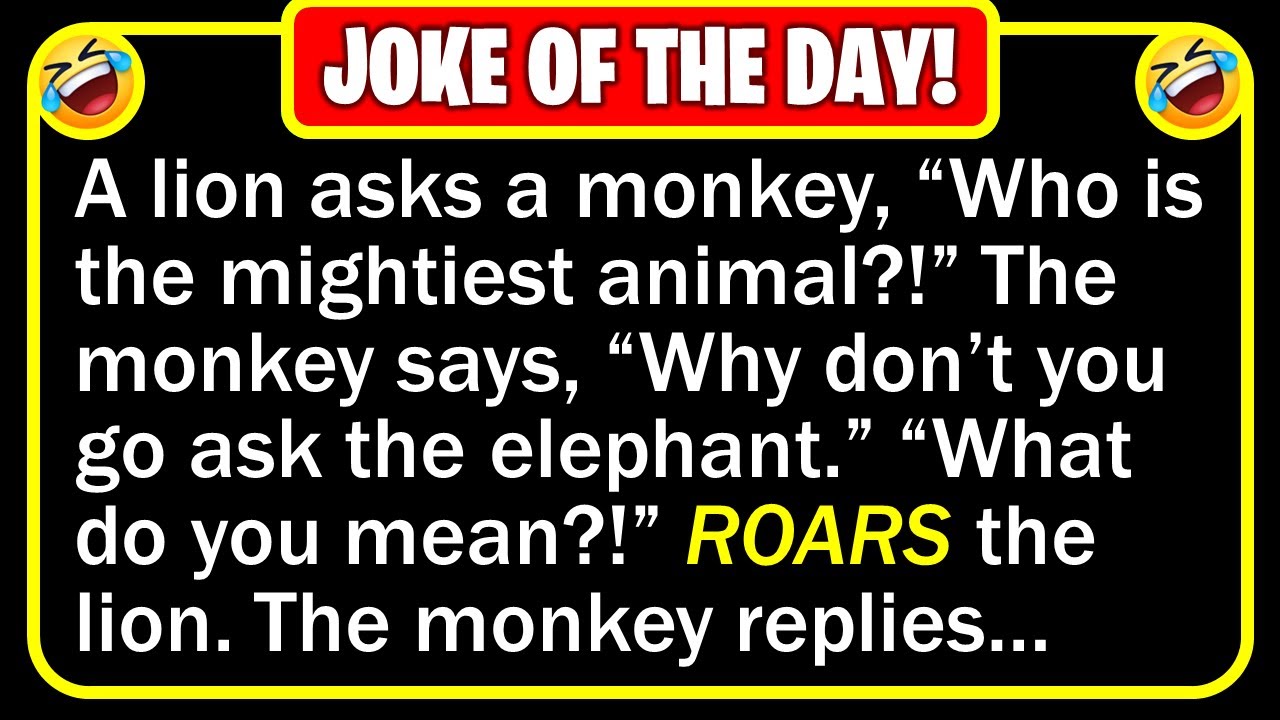 Funny Joke: Lion King