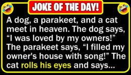 Funny Joke: Pet Heaven