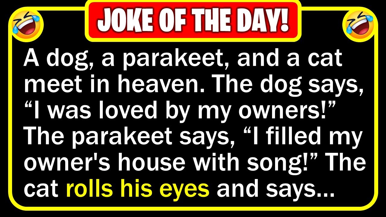 Funny Joke: Pet Heaven