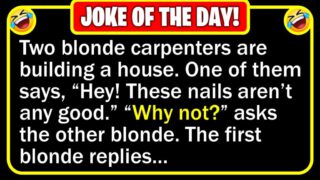 Funny Jokes: Two Blonde Carpenters & Hunting with Son