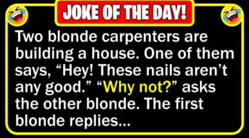 Funny Jokes: Two Blonde Carpenters & Hunting with Son