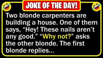 Funny Jokes: Two Blonde Carpenters & Hunting with Son