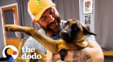 Guy Rescues A Malinois Puppy And Changes His Life
