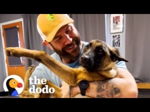 Guy Rescues A Malinois Puppy And Changes His Life