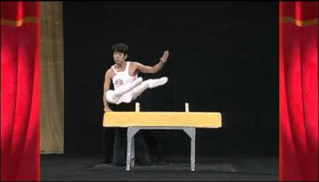 Hilarious Japanese Pommel Horse Routine