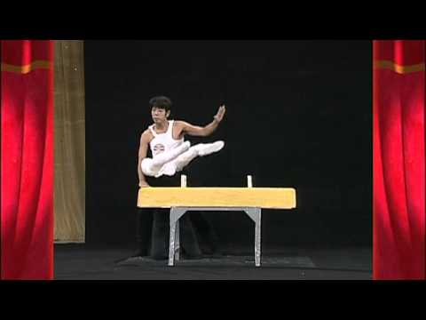 Hilarious Japanese Pommel Horse Routine