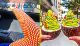 Oddly Satisfying Pics That Will Pamper the Little Perfectionist Inside You