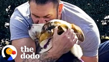 Scared Dog Melts Into His New Dad’s Arms
