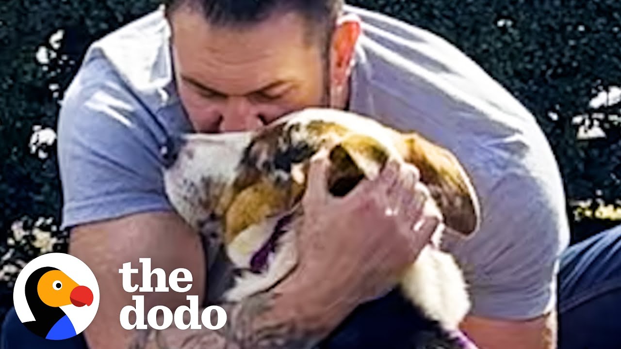 Scared Dog Melts Into His New Dad’s Arms