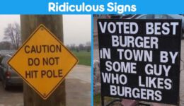 You Won’t Believe How Ridiculous These Signs Are!