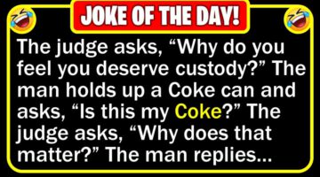 Funny Joke: Custody Battle