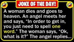 Funny Joke: Spelling a Word at Heaven’s Gate