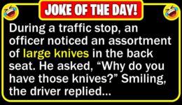 Funny Joke: Traffic Stop