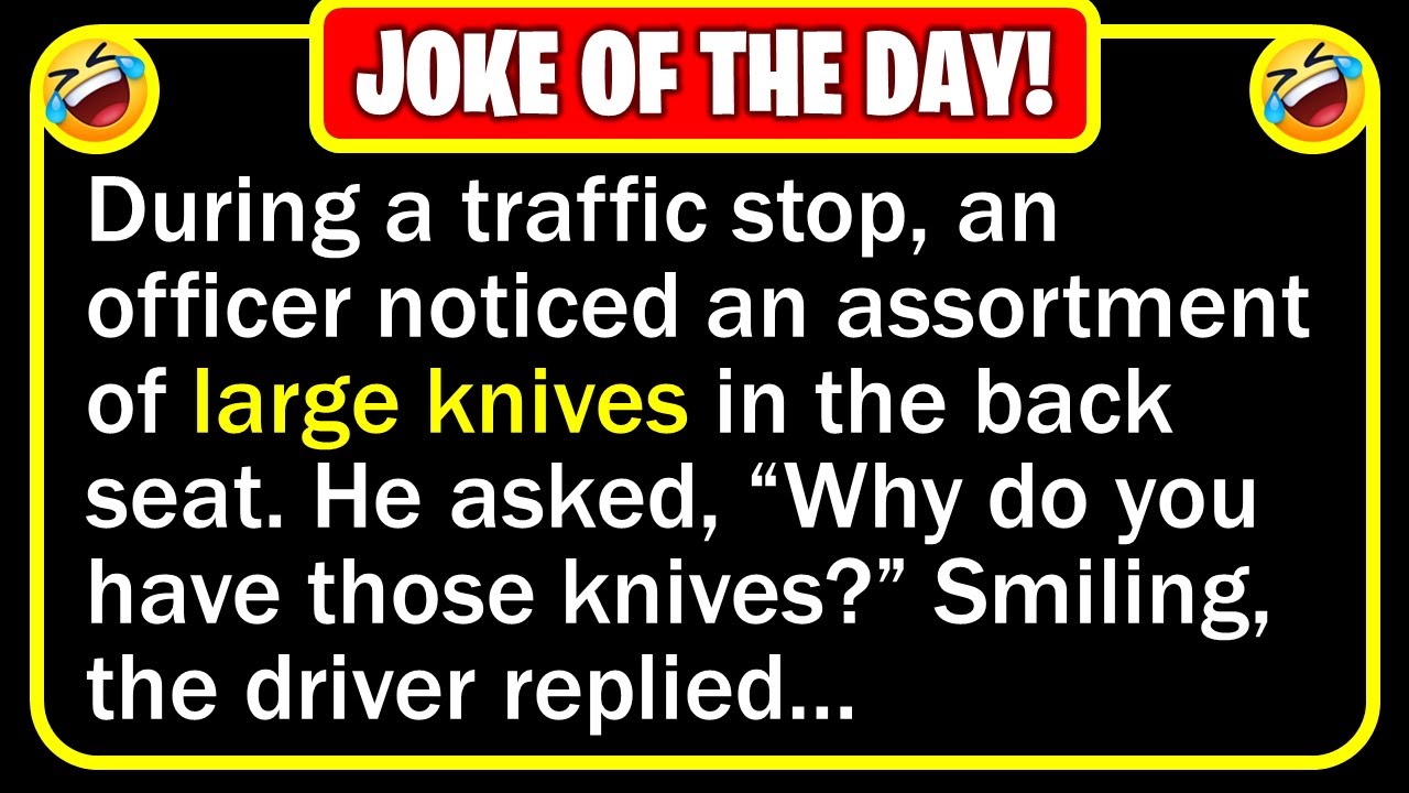 Funny Joke: Traffic Stop