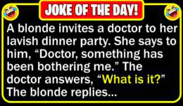 Funny Jokes: Blonde Dinner Party & Blonde Camping