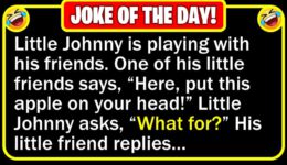Funny Jokes: Robin Hood & Little Johnny