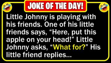 Funny Jokes: Robin Hood & Little Johnny