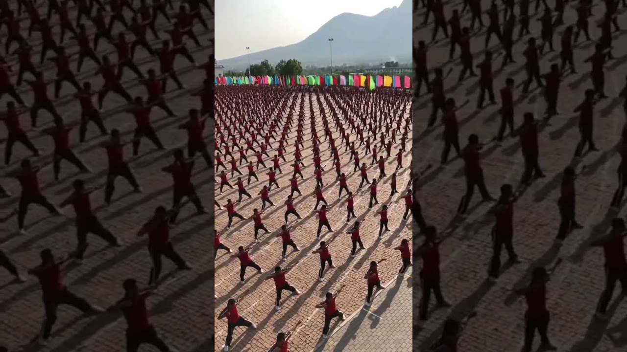 Amazing Synchronized Kung Fu Training