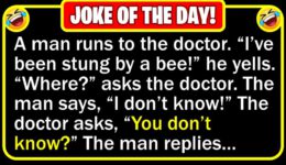 Funny Joke: Bee Sting
