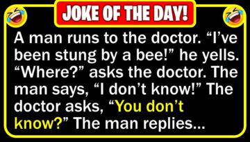 Funny Joke: Bee Sting