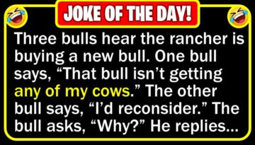 Funny Joke: New Bull