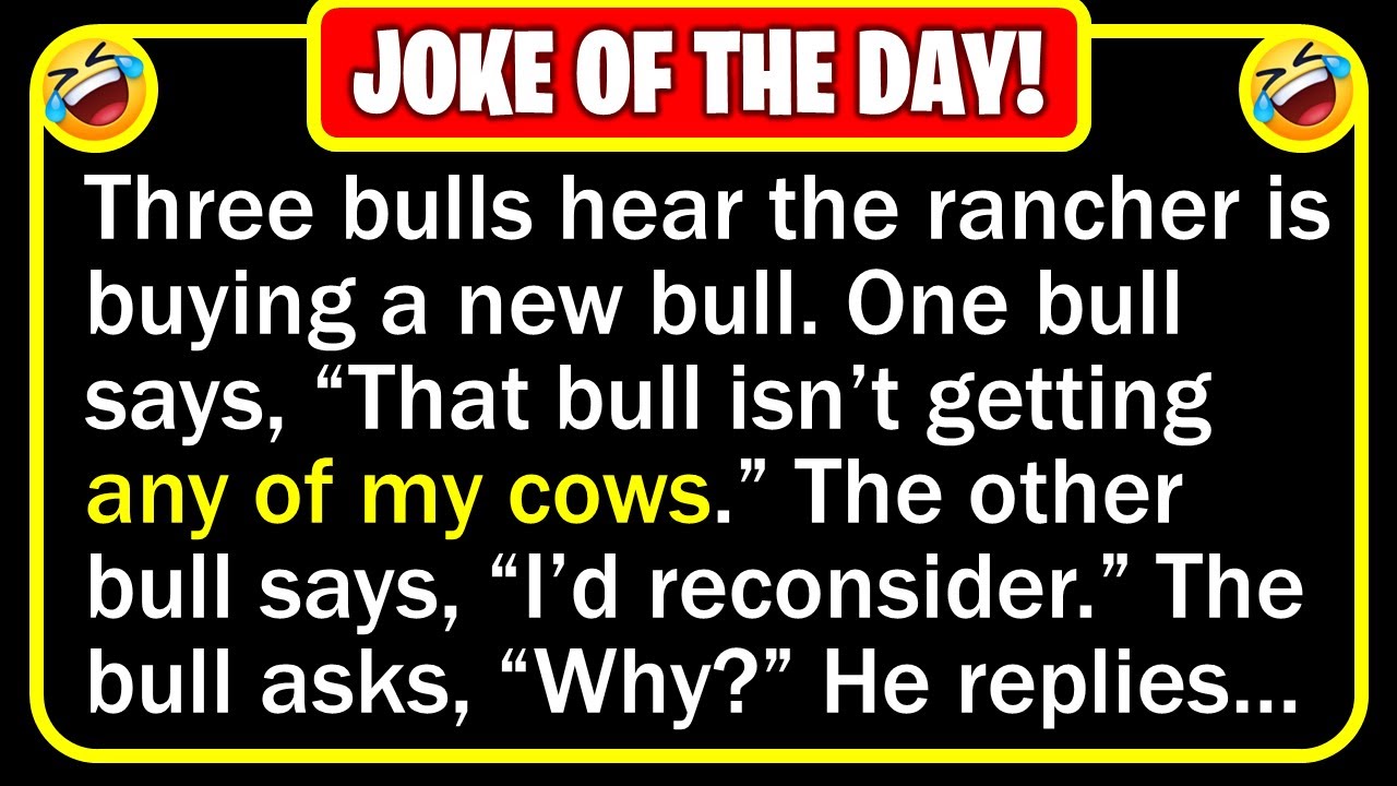 Funny Joke: New Bull