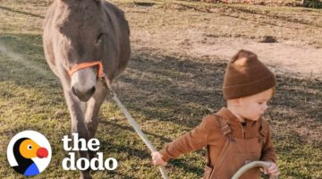 Kid And His Donkey Are Truly BFFs