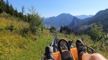 Take a Scenic Ride on an Alpine Coaster With No Brakes