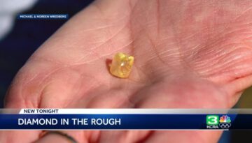 Couple at State Park Finds Giant Yellow Diamond