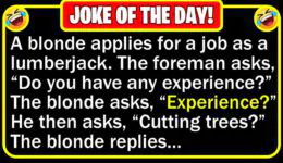 Funny Joke: Blonde Logger