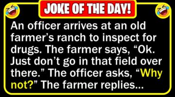 Funny Joke: DEA Inspector