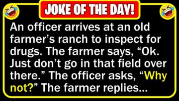 Funny Joke: DEA Inspector