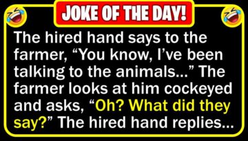 Funny Joke: Hired Hand