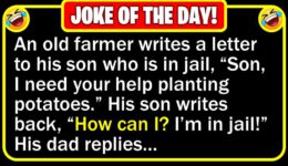 Funny Joke: Planting Potatoes