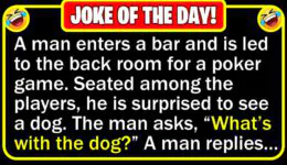 Funny Joke: Poker Dog