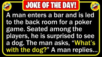 Funny Joke: Poker Dog