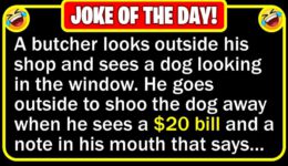 Funny Joke: Smart Dog