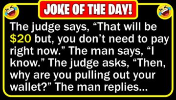 Funny Joke: Traffic Court