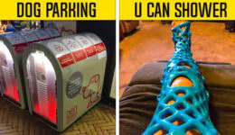 Genius Ideas That Should Be Implemented In Every City