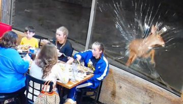 Deer Ruins Family Dinner