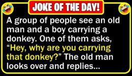Funny Joke: Donkey Ride
