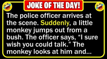 Funny Joke: Monkey Witness