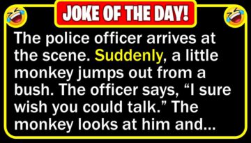 Funny Joke: Monkey Witness