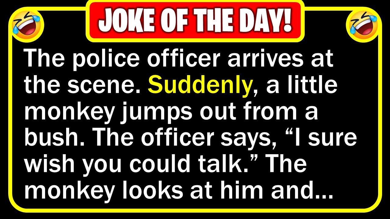 Funny Joke: Monkey Witness