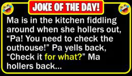 Funny Joke: Outhouse Problem