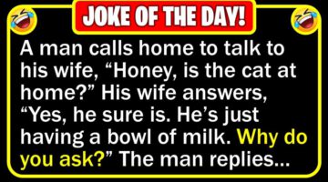 Funny Joke: Smart Cat